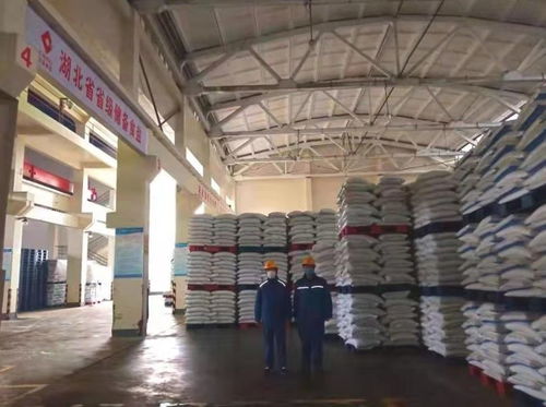 保供穩價，中央企業以“油”為基筑牢抗疫防線